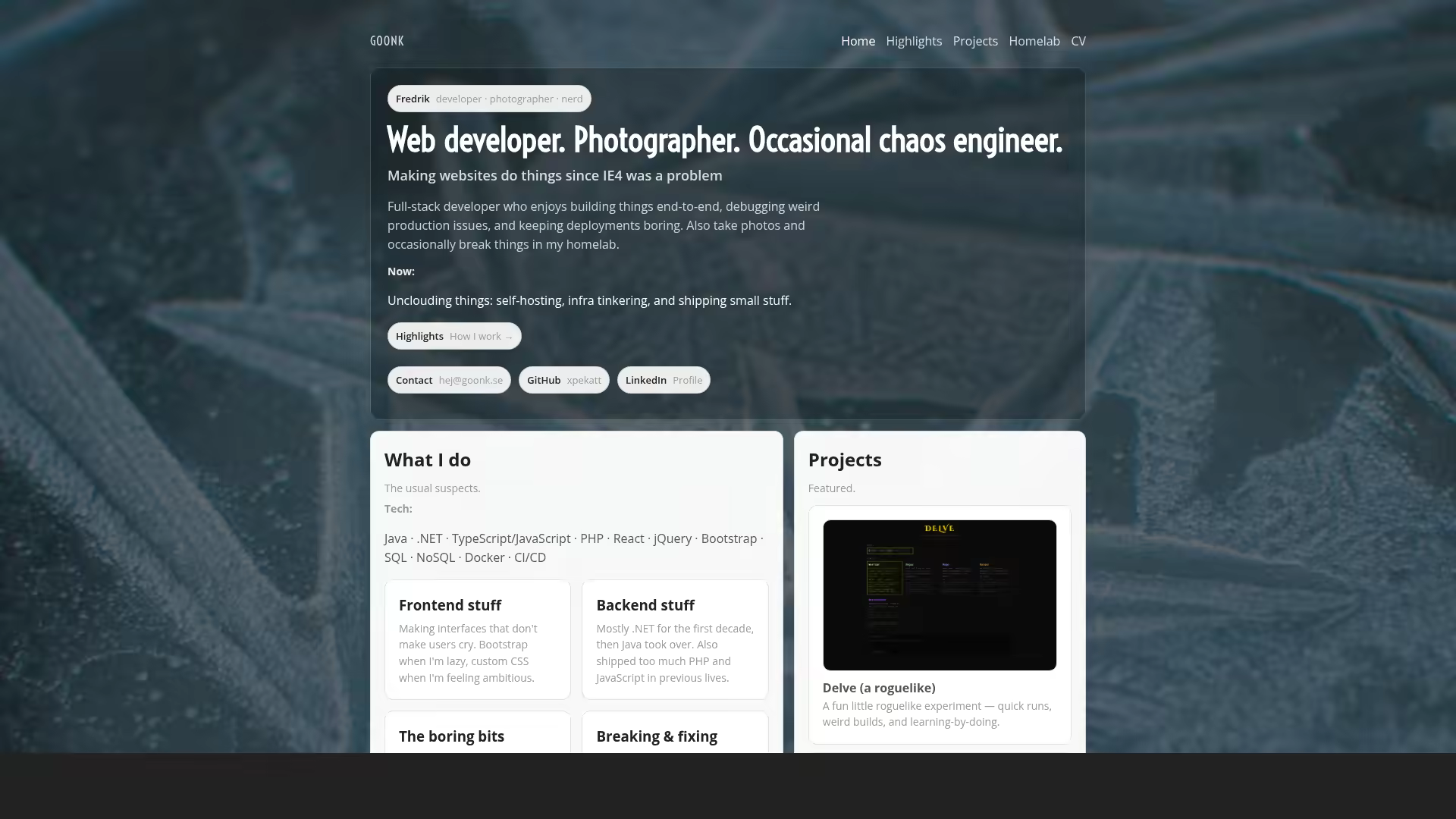 Screenshot of goonk.se CV page
